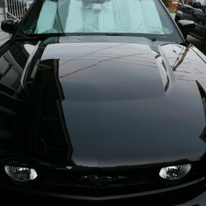 Blackfire Deep Gloss Spray 5