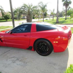 97 vette