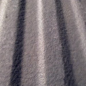 02192010084