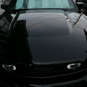 GS0F8743thb1