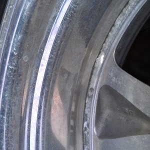 IMAG01501
