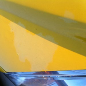 clear coat failure