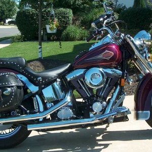 Harley