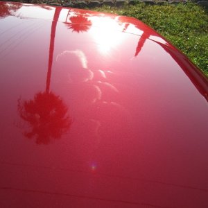 tn_Copy_of_primo_wax_pic_005