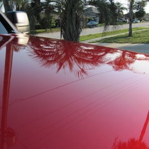 tn_Copy_of_primo_wax_pic_015