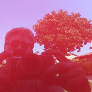 tn_Copy_of_primo_wax_pic_024