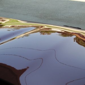 tn_Copy_of_primo_wax_pic_0461