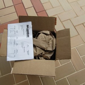 tn_new_order_002