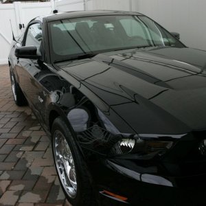 GS0F8833thb