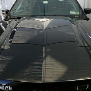 GS0F8845thb