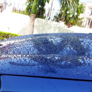 Prima Hydro seal