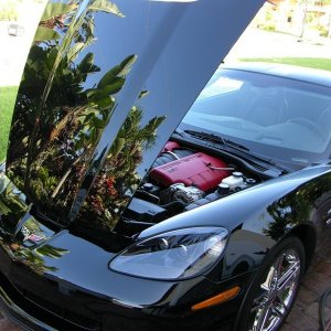 Z06_Souveran11