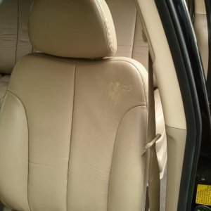 Drivers Seat