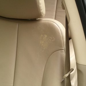 Drivers Seat