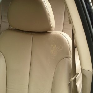 Drivers Seat