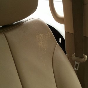 Drivers Seat