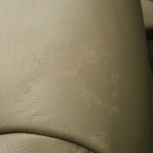 Front Passenger Seat