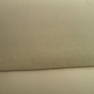 Front Passenger Seat