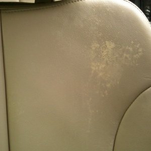 Drivers Seat