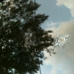 Roof_stain