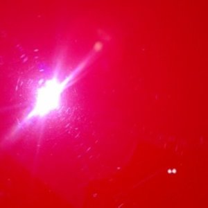 IMAG03981