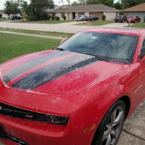 tn_camaro_001