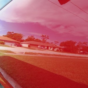 tn_camaro_013