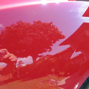 tn_camaro_026