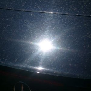 trunk_before_1_