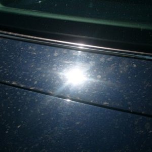 trunk_before_2_