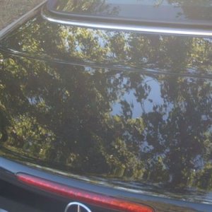 trunk_finished2
