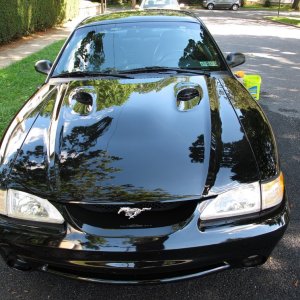 Spiney's 96 Ford SVT Cobra Front End