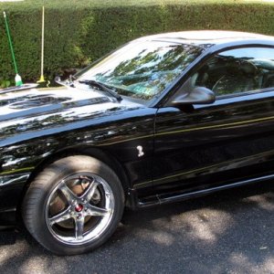 Spiney's 96 Ford SVT Cobra Side View