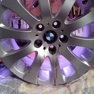 rim1