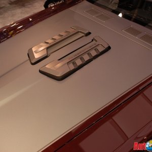 AG1_9538
