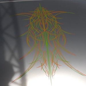 AG1_9838