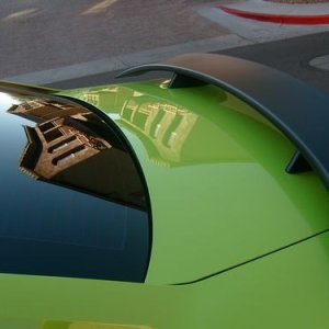 Trunk_reflection