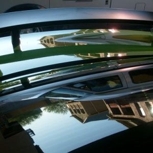 Trunk_reflection_2_
