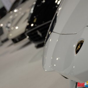AG1_0195