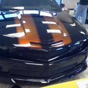 mark_camaro