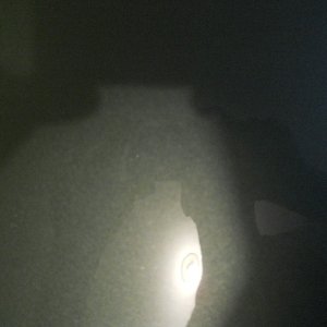DSCN0895