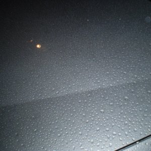 P1010282