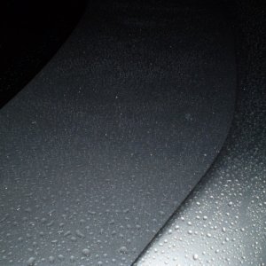 P1010287
