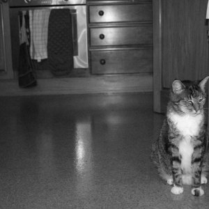 Photos taken with my Canon EOS 550D