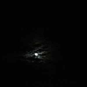 Photos taken with my Canon EOS 550D