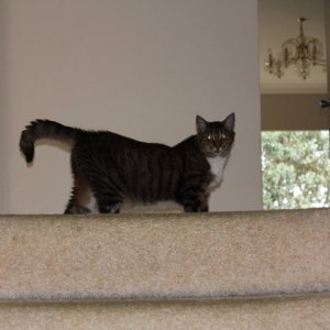 Photos taken with my Canon EOS 550D