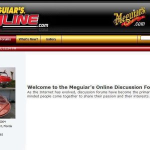 Meguiar's Online Introduction Paragraph by Mike Phillips