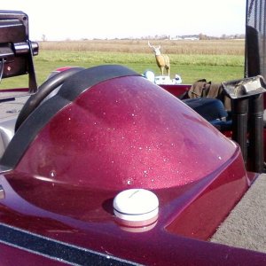 Ranger Bass Boat