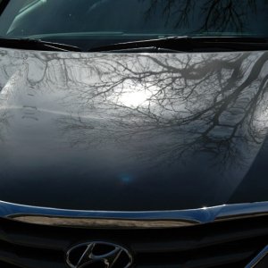 2011 Sonata Hood Out 2