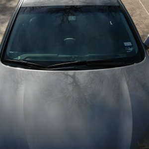 2011 Sonata Sun